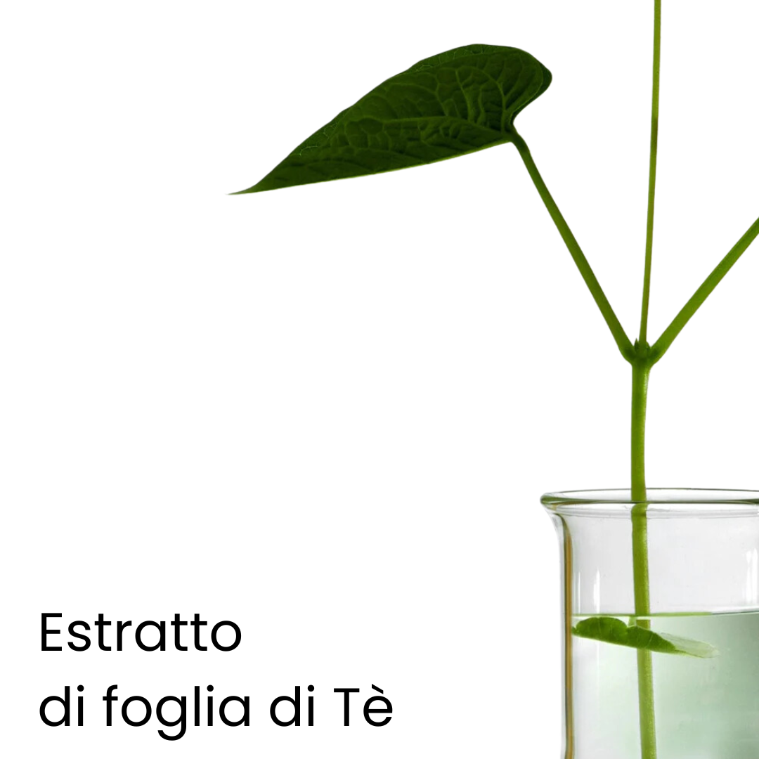 Rivitalizzante Evonex® Olio Detergente